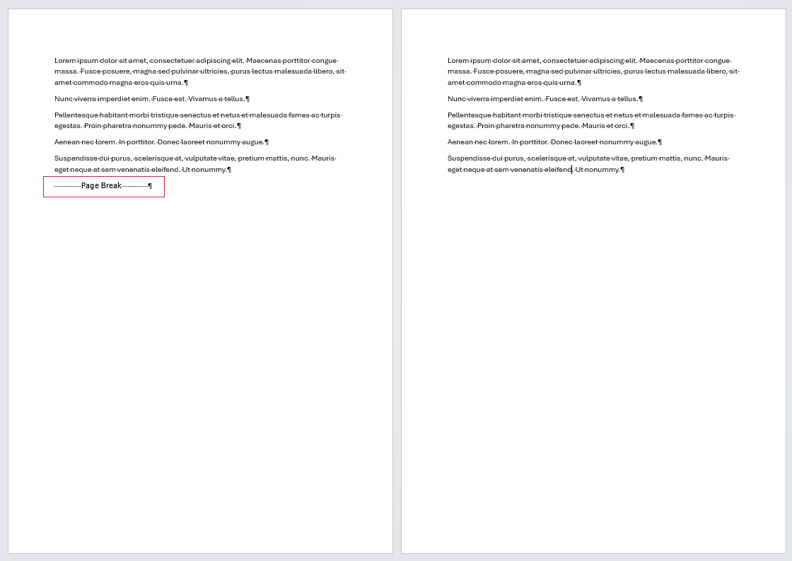 Page break highlighted across two pages